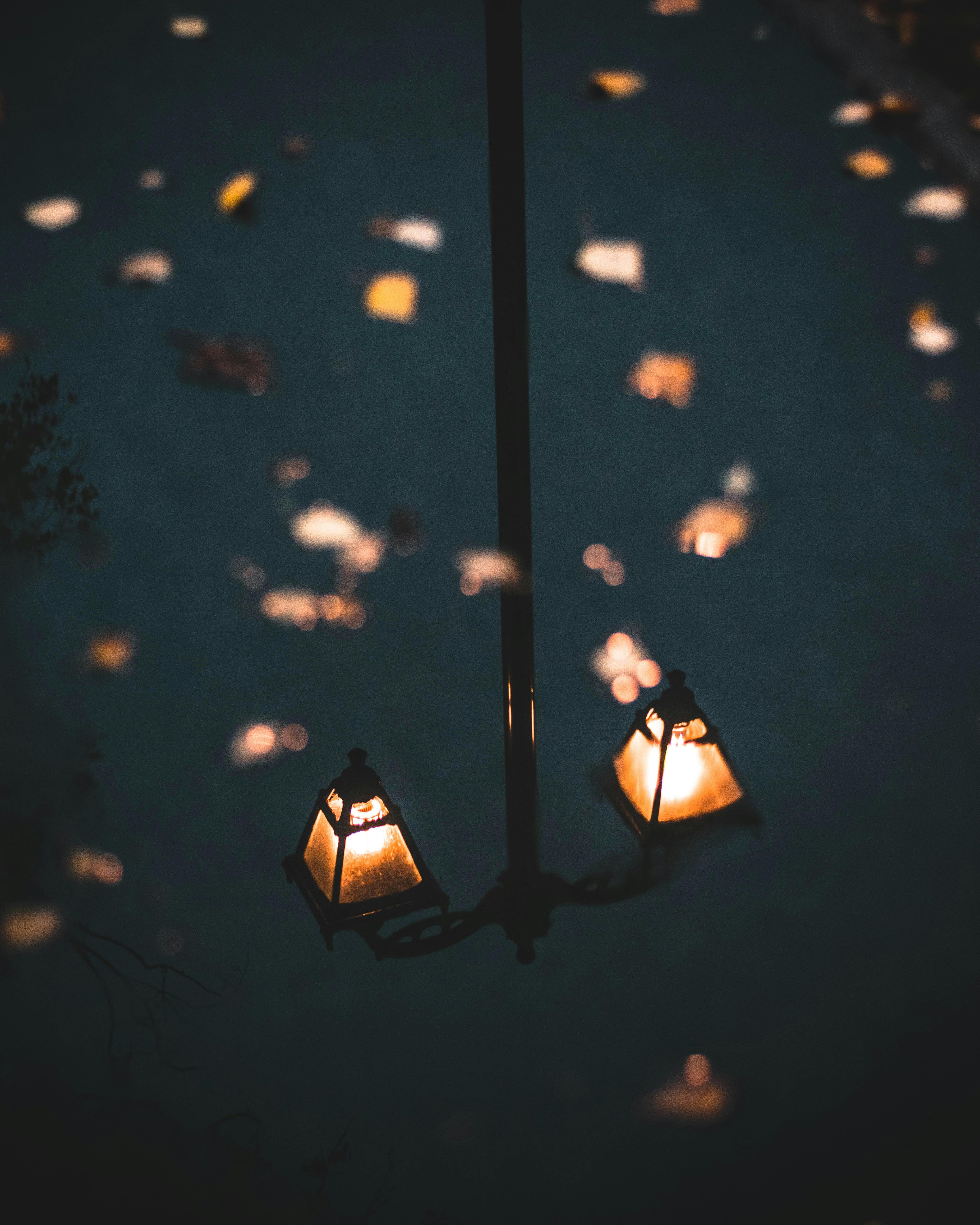 Illuminated street lamps and autumn leaves reflect in rain, creating a moody scene.