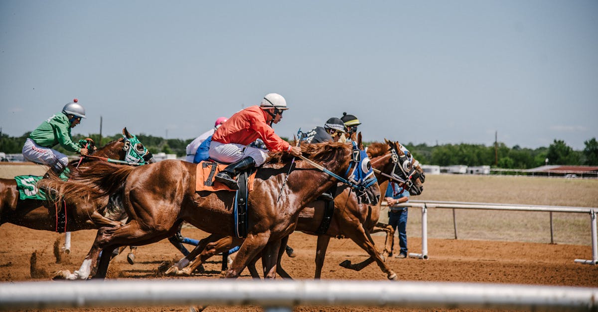 How fast do racing horses run