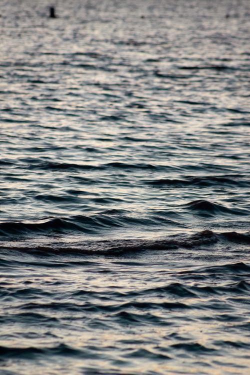 Free Serene view of ocean waves rippling under a calming sunset light. Stock Photo
