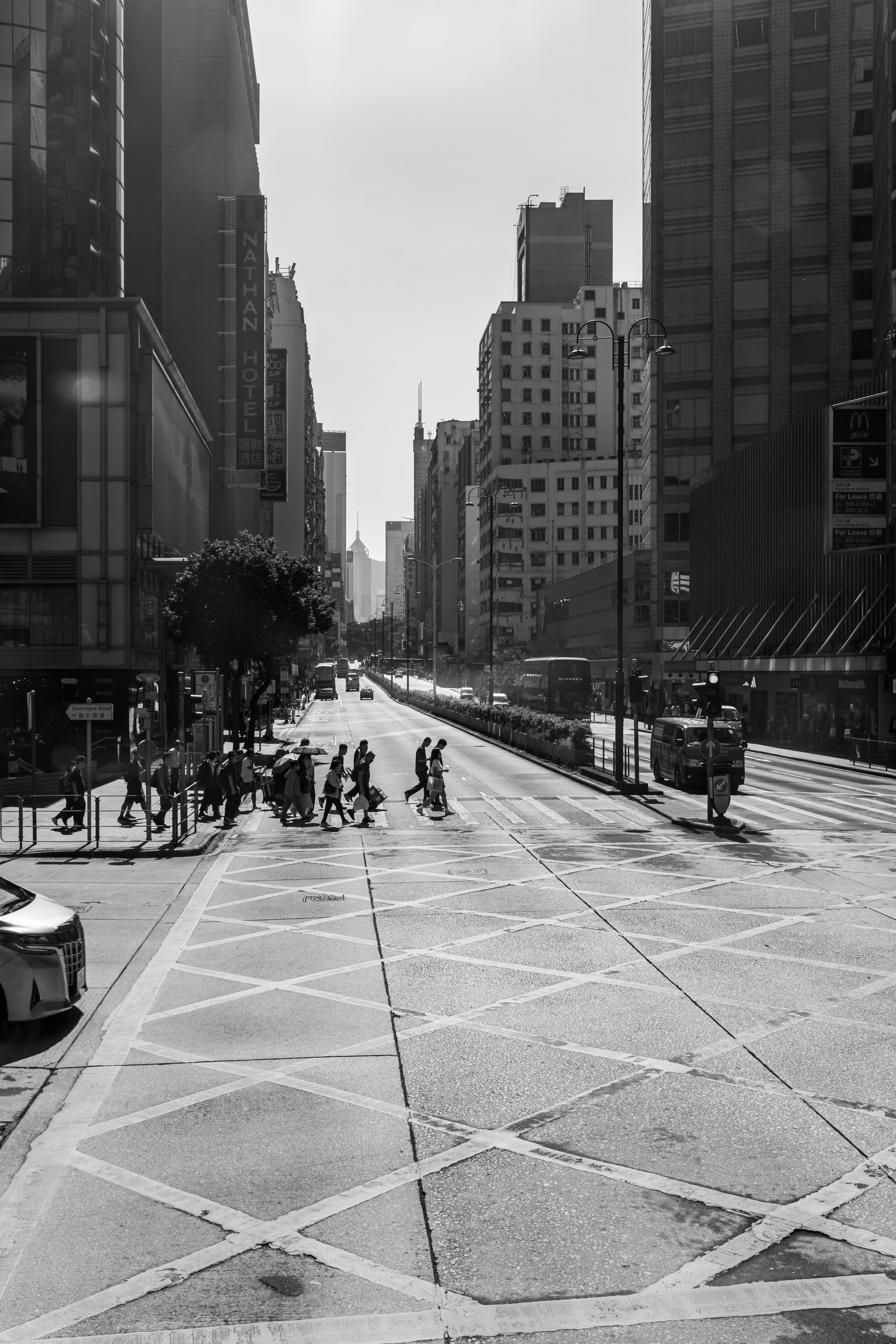 Black and White Urban Street Crossing Scene · Free Stock Photo