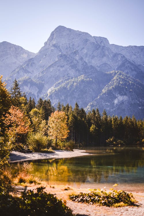 Photo Of Lake During Daytime