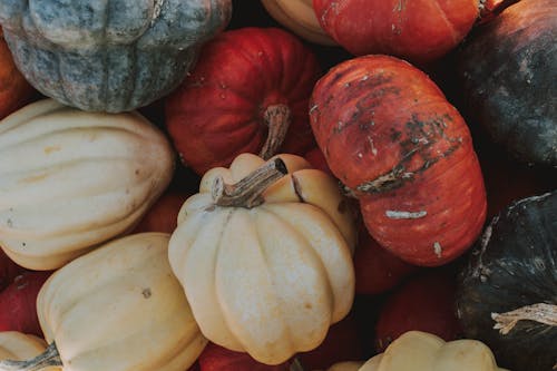 Calabaza Blanca Y Roja