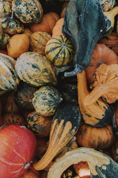 色彩缤纷的葫芦和南瓜展现了秋天的丰收