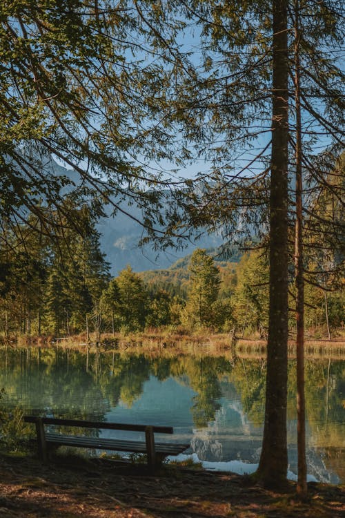 Foto Panorâmica De Lago Perto De árvores