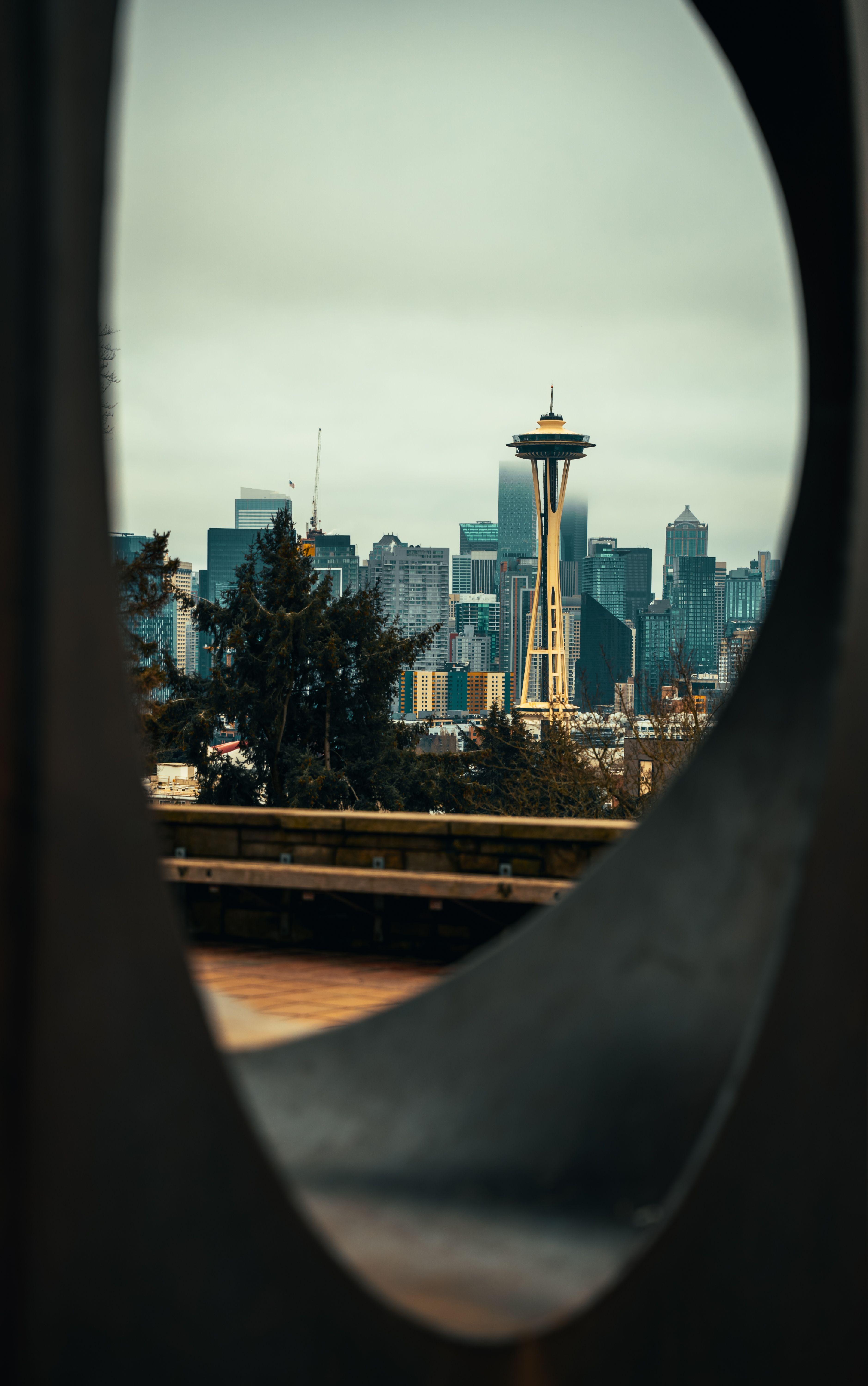 Seattle Skyline Featuring the Iconic Space Needle · Free Stock Photo