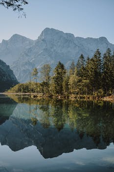 宁静的山地景观中，树木倒映在平静的高山湖里
