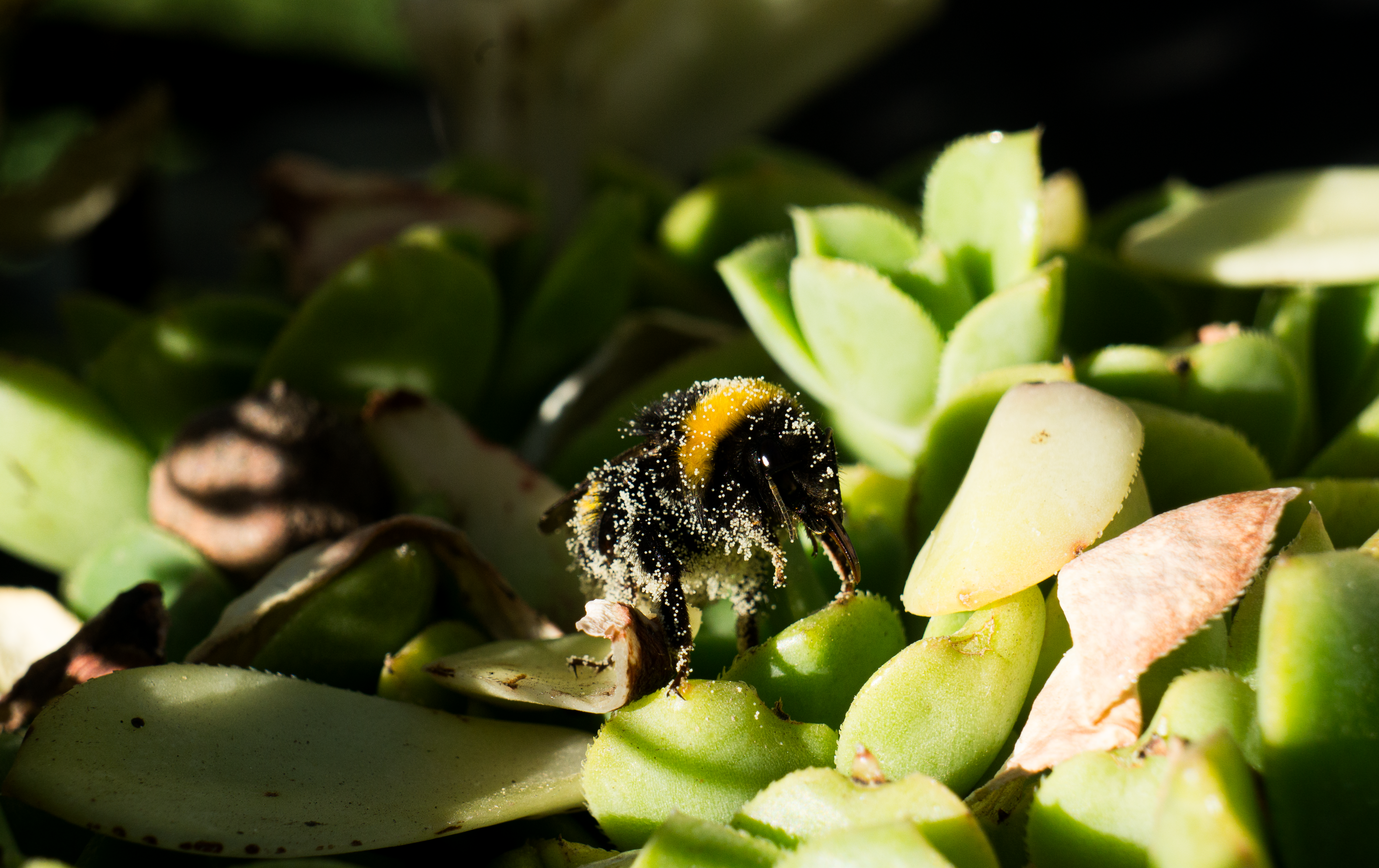 Ark Valley Civics Bee Competition to Send Three Local Students to State — Photo by Luis Rodrigo Gonzalez on Pexels