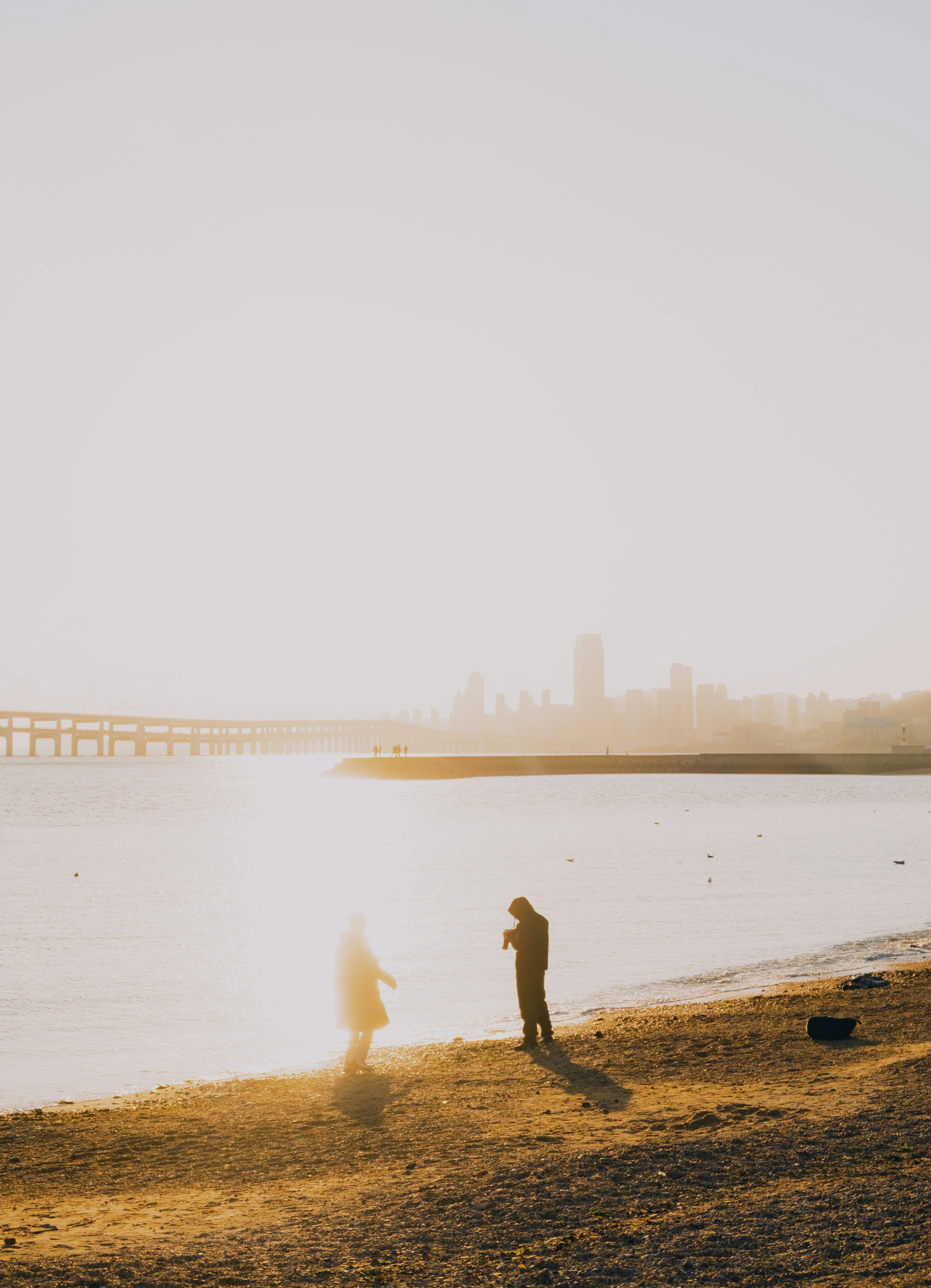 Silhouetted figures on a beach at sunset with city skyline in the background.