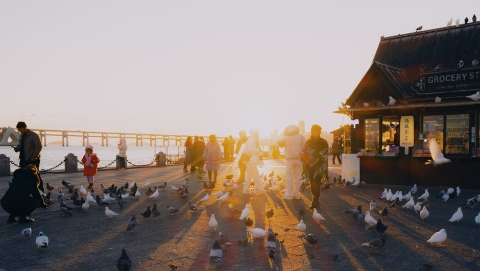 Sunlit pier scene with visitors, pigeons, and a grocery store nearby. Warm, evening ambiance.