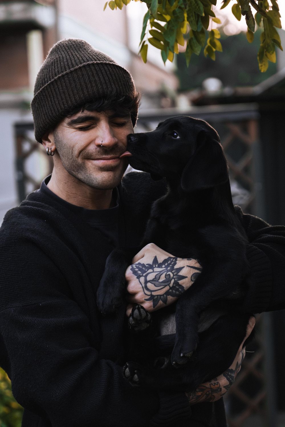 Labrador Man Man Cuddling Black Labrador Puppy Outdoors · Free Stock Photo