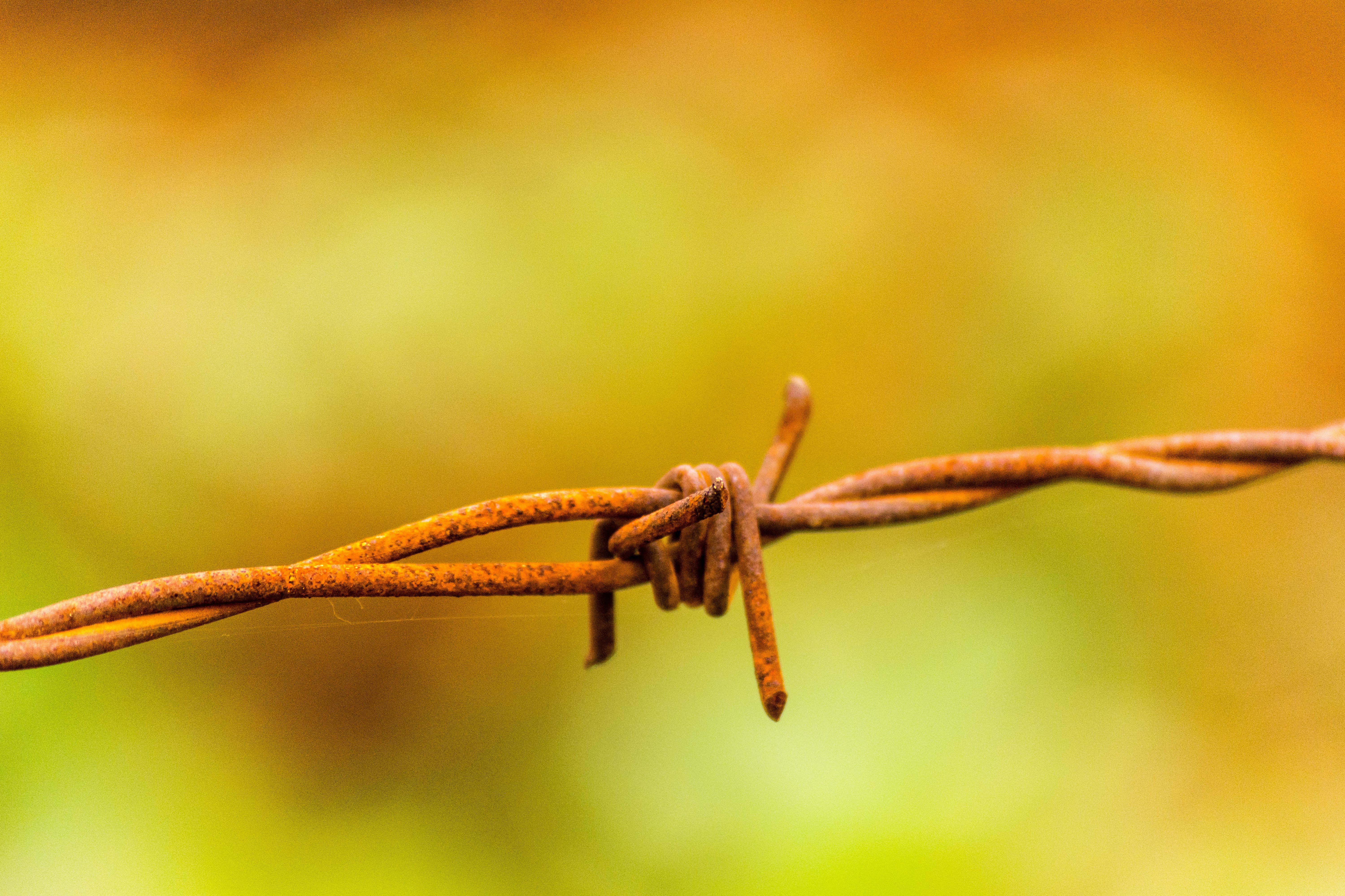 Barbed wire of iron or steel; twisted hoop or single flat wire, barbed or not and loosely twisted double wire, of a kind used for fencing, of iron or steel
