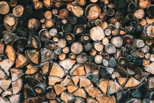 Free A collection of various sized wood logs stacked closely together. Stock Photo