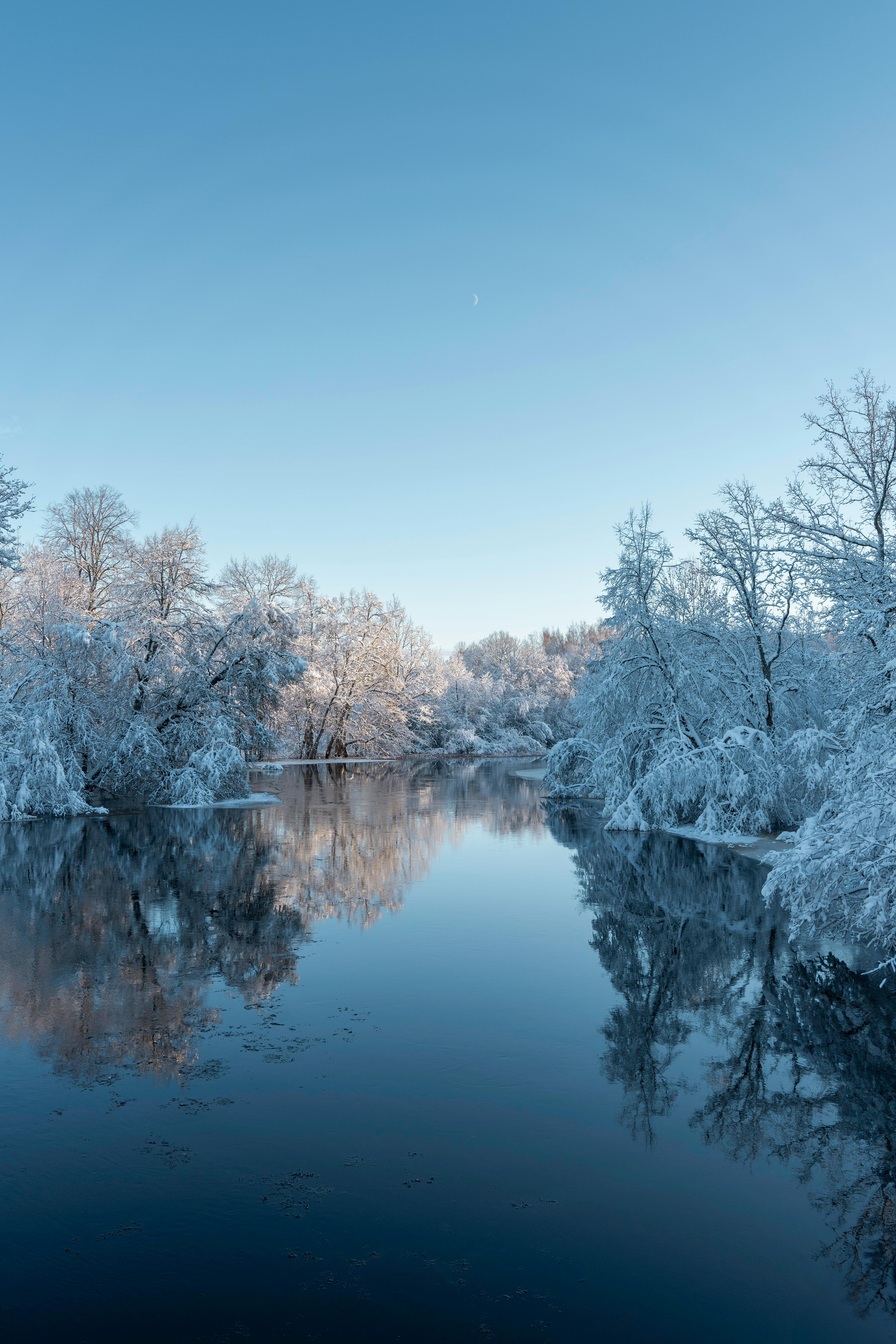 Peaceful snowy riverbank with white trees reflecting in the water.