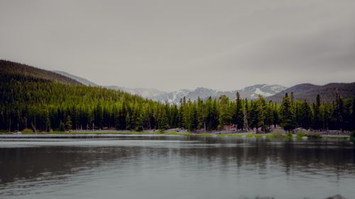 Free Tranquil lake view surrounded by lush green forests and distant snowy mountains, reflecting calm ambiance. Stock Photo