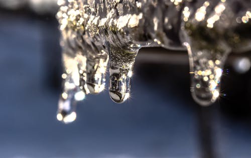 Canadian Chill Grips Midwest, South, and Northeast