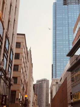Skyscrapers towering over a city street with a bird in the sky.