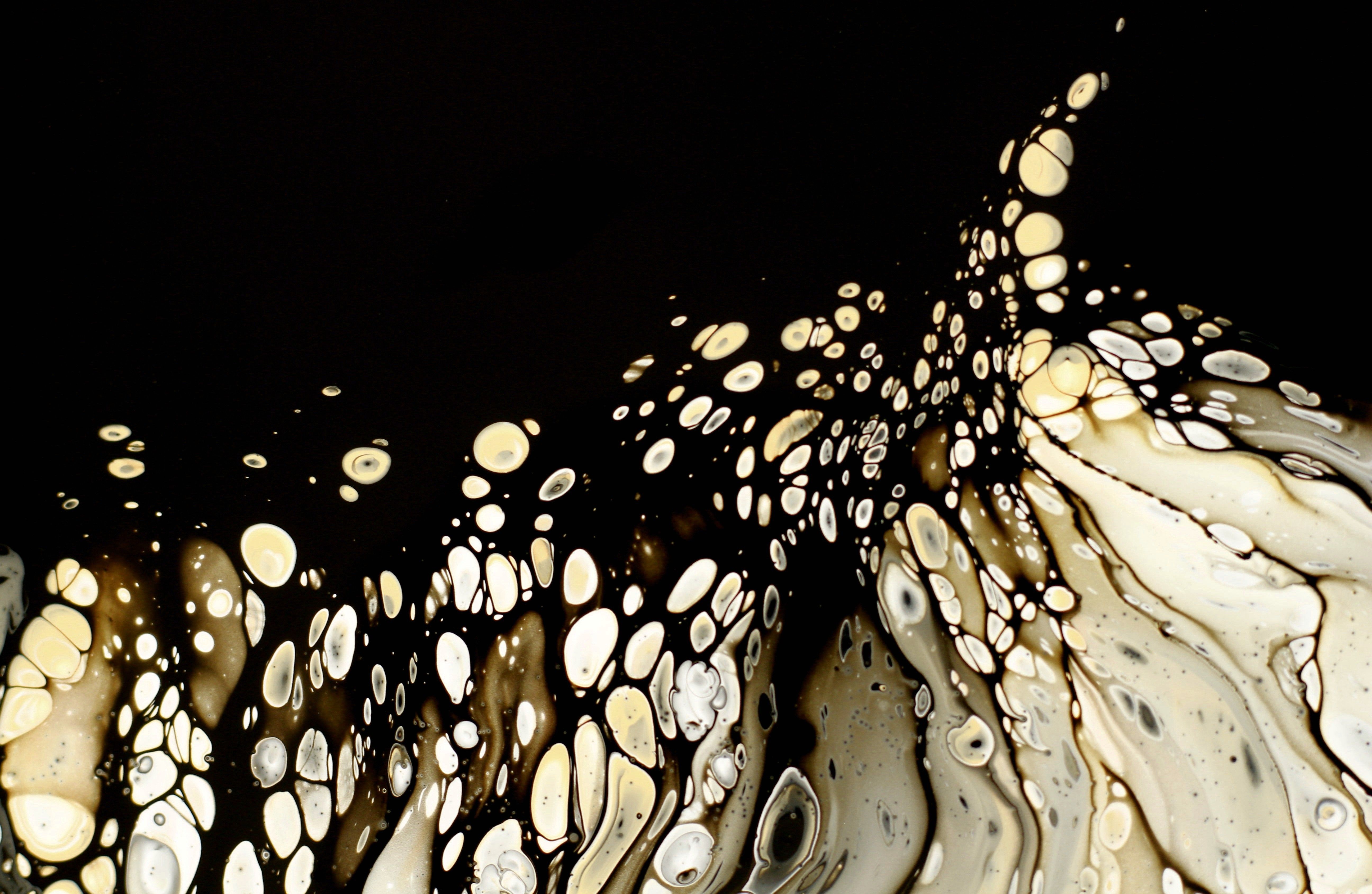 Fluidity In Art Photos, Download The BEST Free Fluidity In Art Stock ...