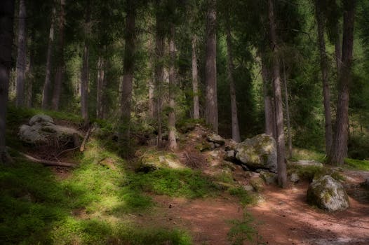 Image by Joerg Hartmann