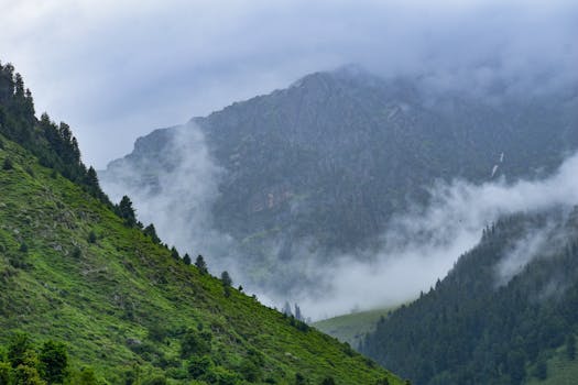 Beautiful mist and greenery enveloping mountain slopes in Kashmir, India.