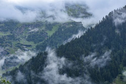 Free Serene view of misty green mountains in Kashmir, India during winter. Stock Photo