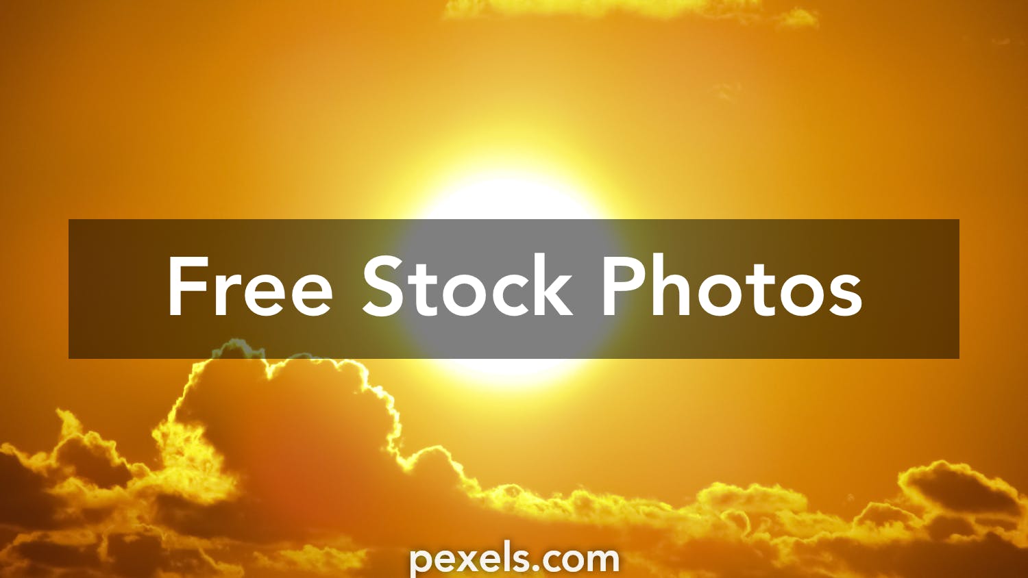 50 000 Best Sun Photos 100 Free Download Pexels Stock Photos