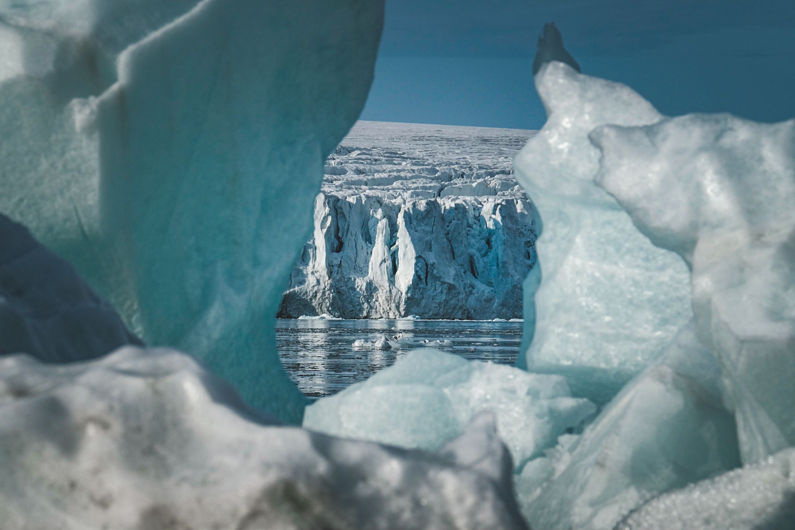 ICE, Climate Bonds Initiative Partner to Strengthen Sustainable Bond Data Transparency — Photo by Francesco Ungaro on Pexels