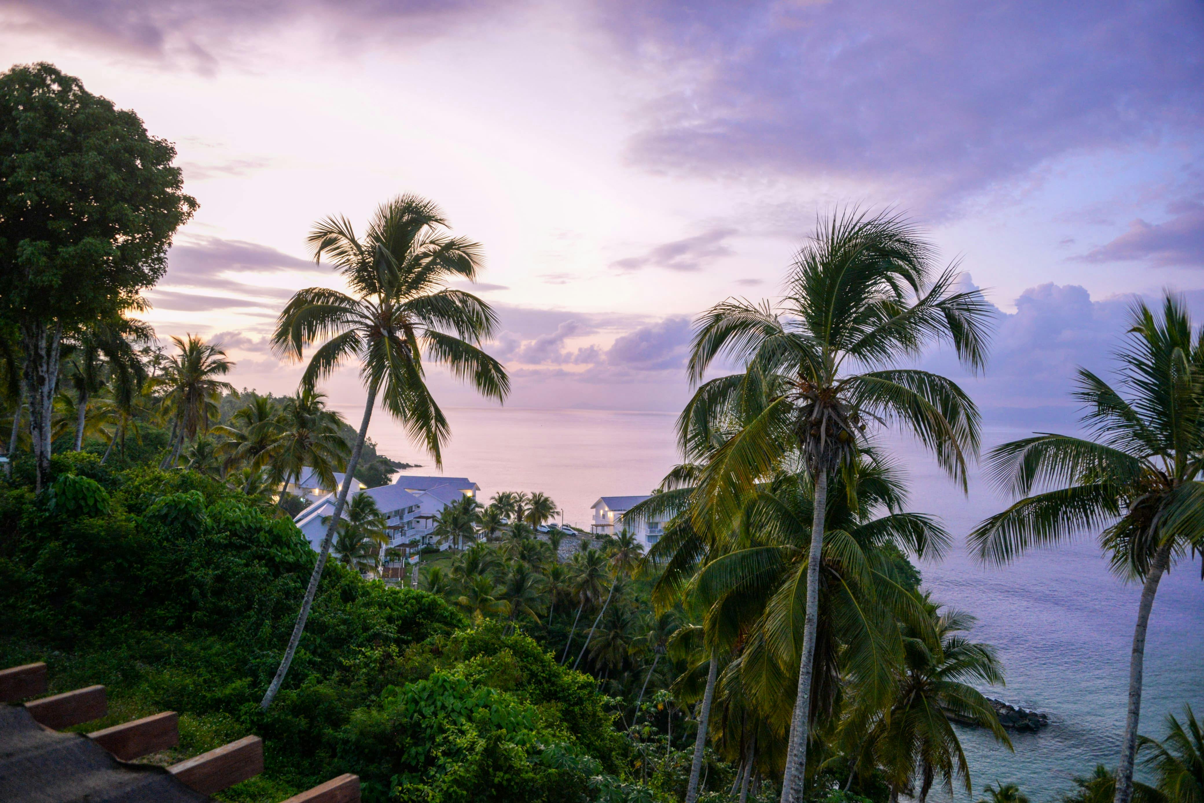 Caribbean corporate Governance Survey 2026 — Photo by José Manuel Ramírez Brenis on Pexels