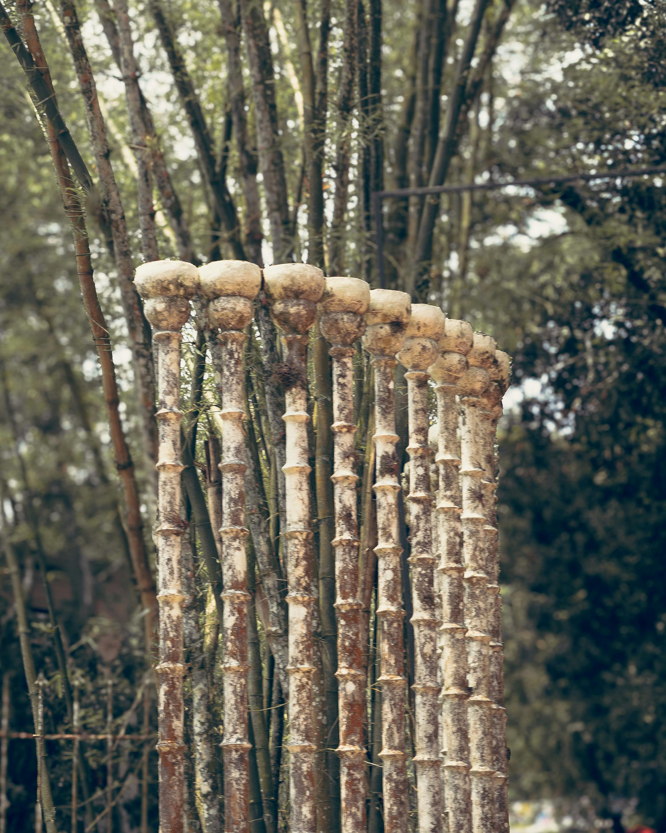 lebron james illuminati sign