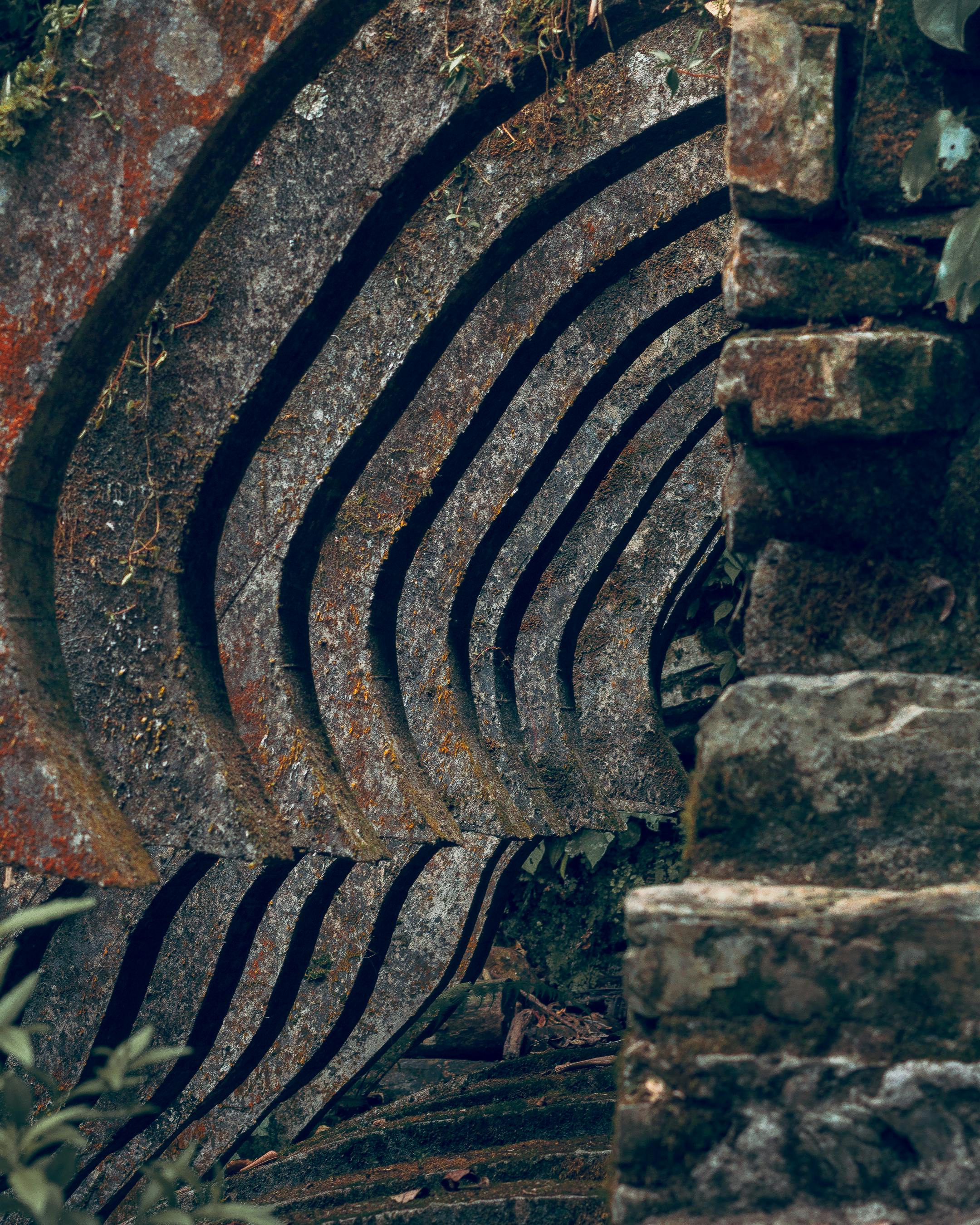 De franc Arcs de pedra al jardí surrealista de Xilitla, que mostren el creixement natural i les textures envellides. Foto d'estoc