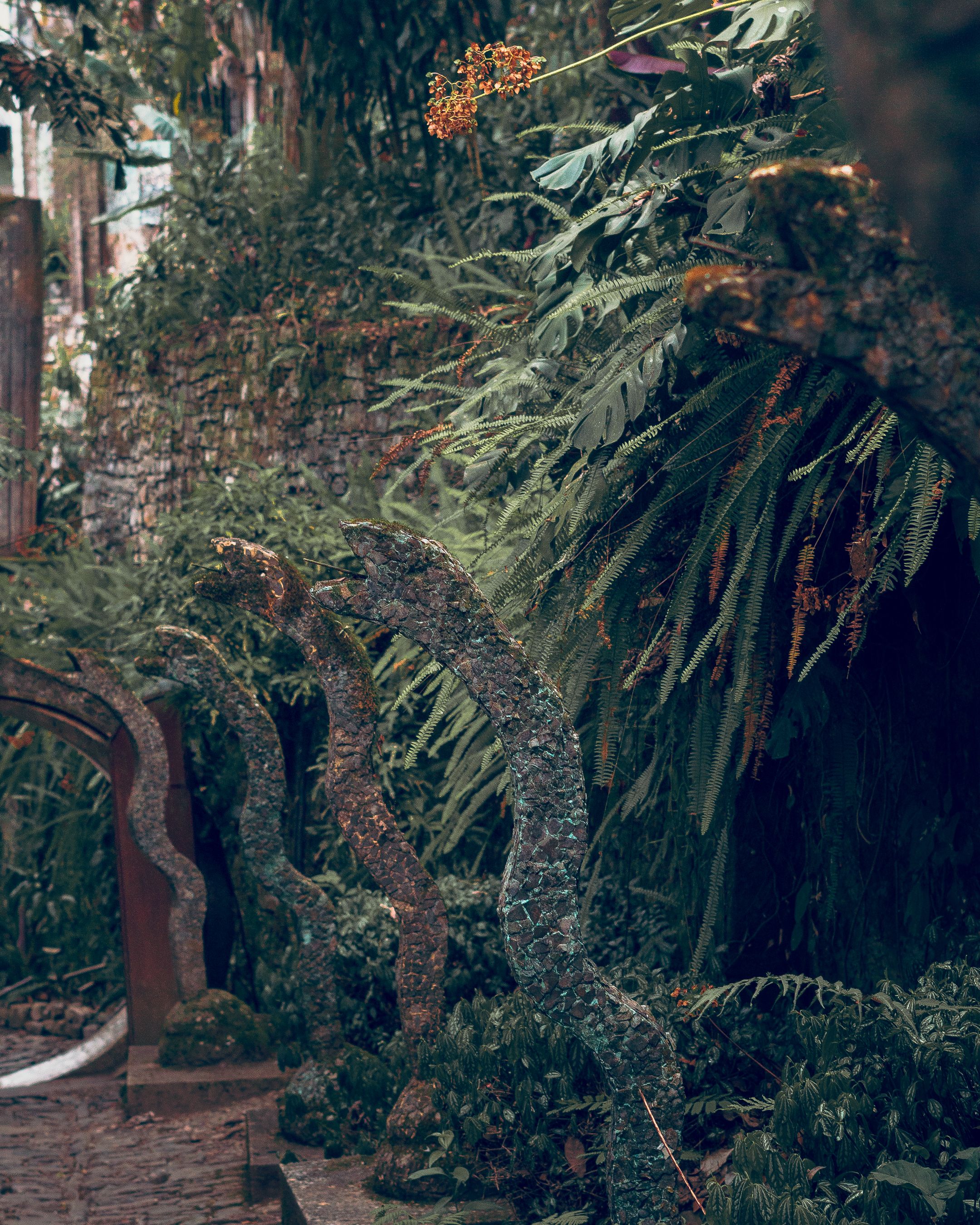 Lush Garden in Xilitla's Surrealistic Sculpture Park · Free Stock Photo - Redefining Surrealistic Textured Sculpture