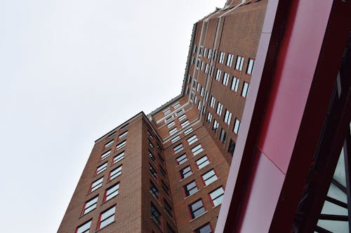 Free stock photo of brick, buffalo, grey skies