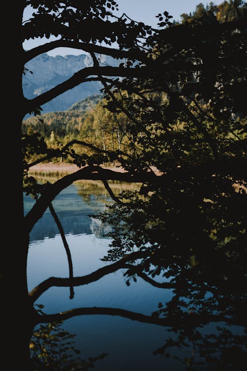 Základová fotografie zdarma na téma jezero, krajina, malebný