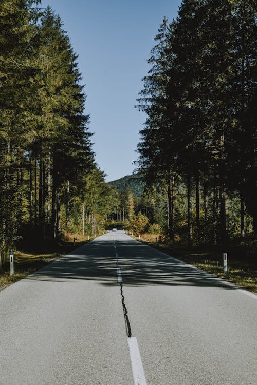 Free Photo Of Empty Road During Daytime Stock Photo