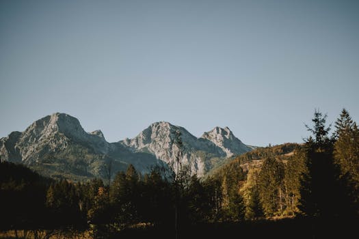 Scenic view of rocky mountain peaks surrounded by lush pine forests under a clear sky.