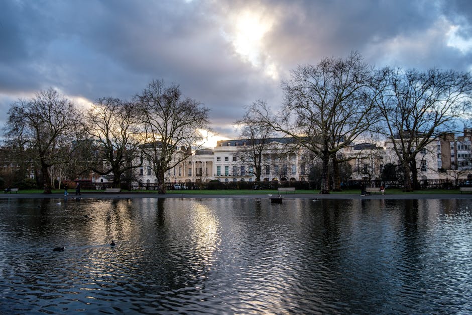 Beautiful sunset at Regent's Park in London, showcasing bare trees and serene water reflections.
