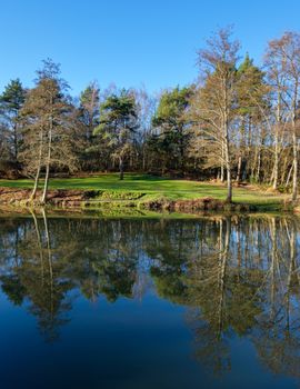 Calm water reflecting bare trees under a blue sky in the English countryside.