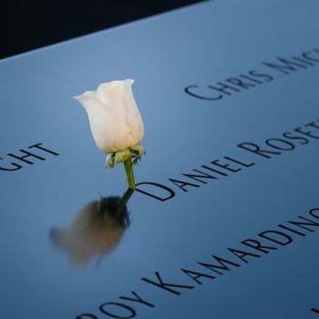 White rose placed on reflective 9/11 memorial, honoring the fallen.（イメージ）