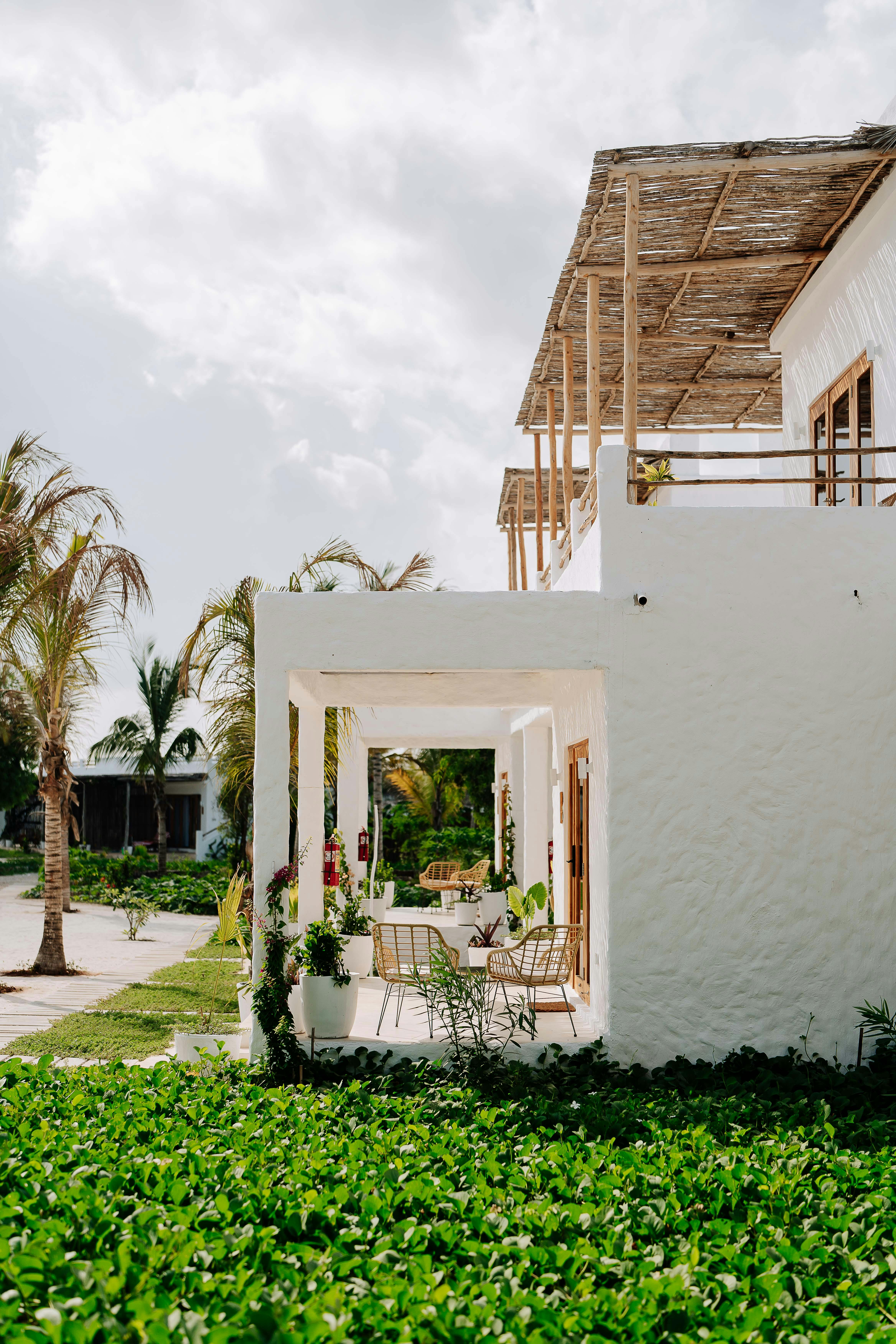 Tranquil beachfront villa in Jambiani, Tanzania with lush greenery and palm trees