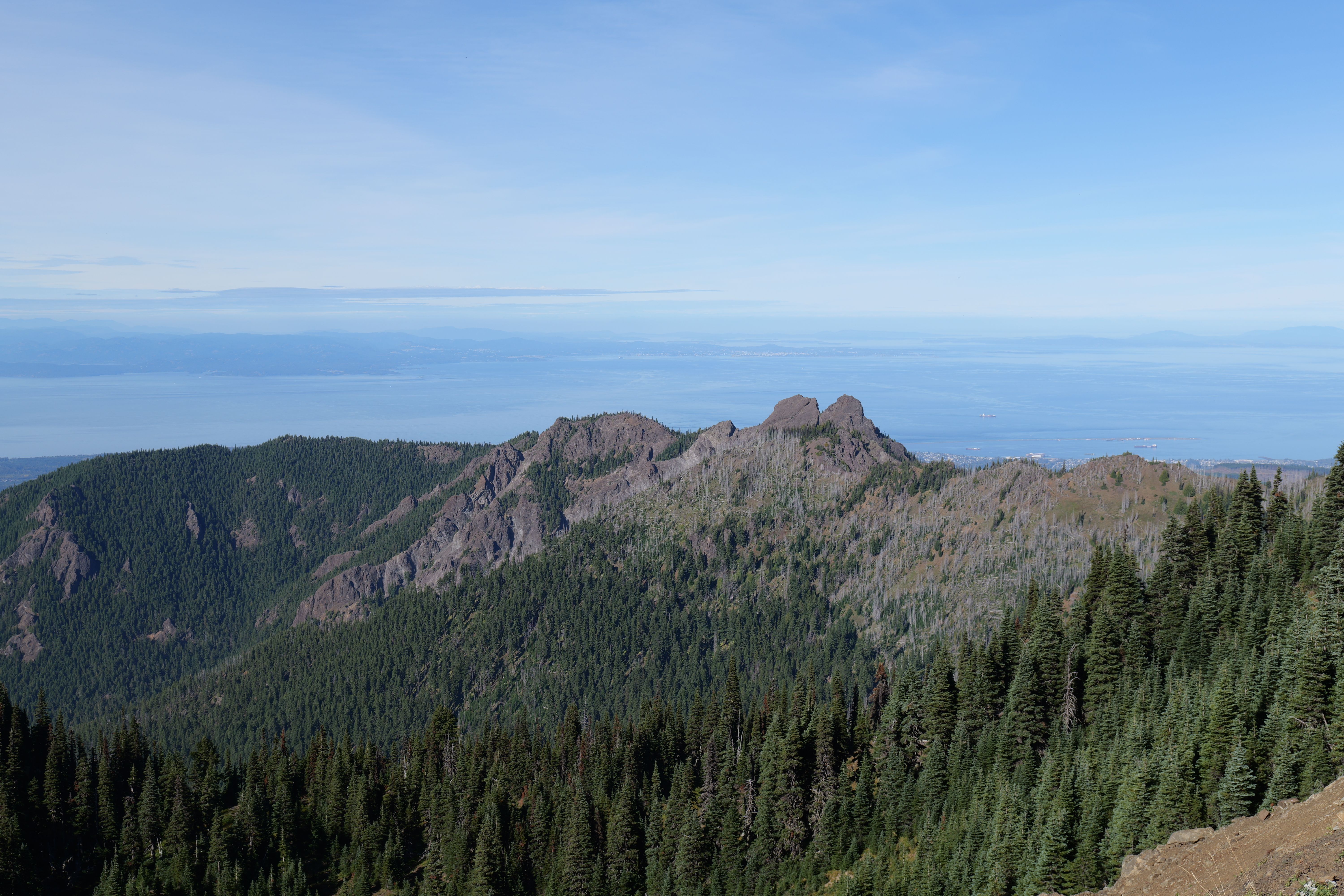 Scenic Mountain View with Evergreen Forests · Free Stock Photo