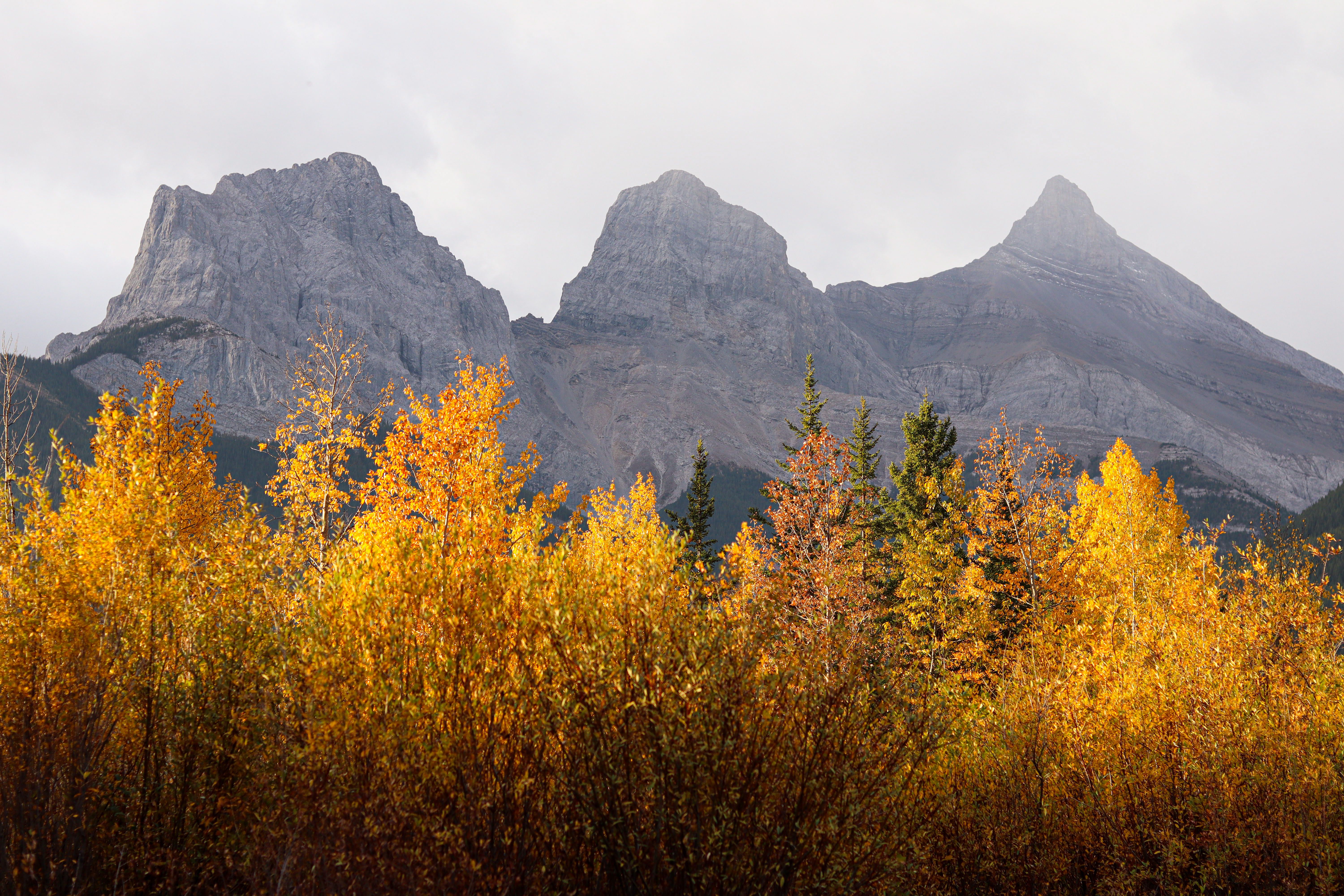 Autumn Colors with Majestic Mountain Peaks · Free Stock Photo