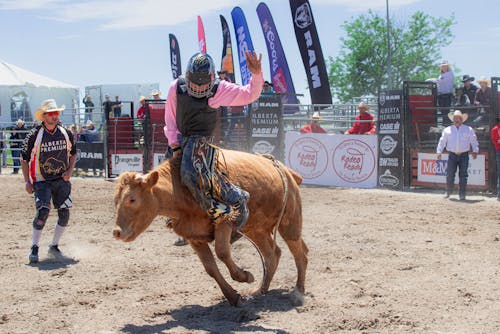 Photo of Man Doing Rodeo · Free Stock Photo