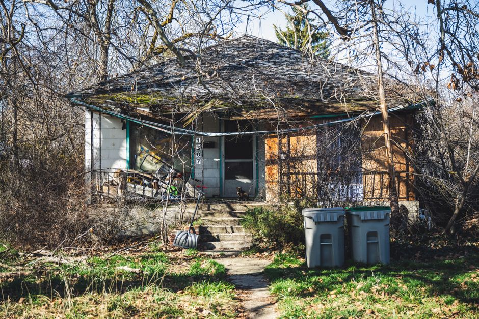 Overgrown untrimmed trees crowding residential property and blocking sunlight