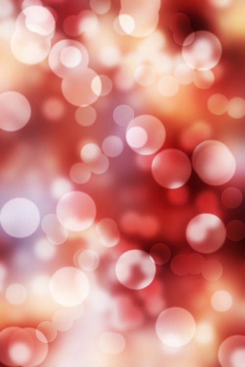 Free Bokeh Effect Stock Photo