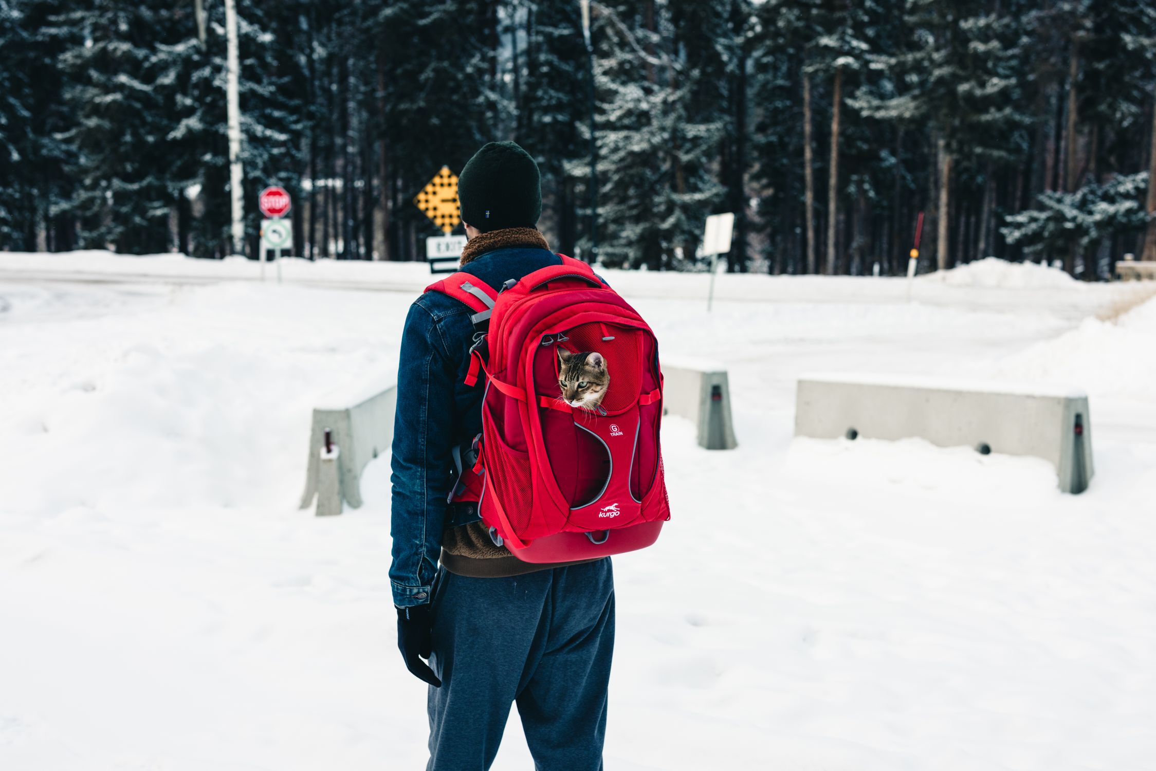 A hiker with a cat in a red backpack explores the snowy terrain of Banff National Park.