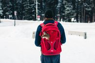 Person hiking with a cat in backpack during winter in Banff, Alberta.