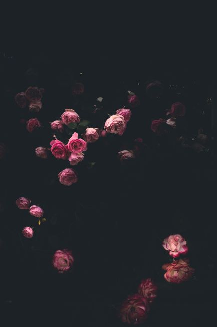 Rangkaian bunga cantik dari Petala