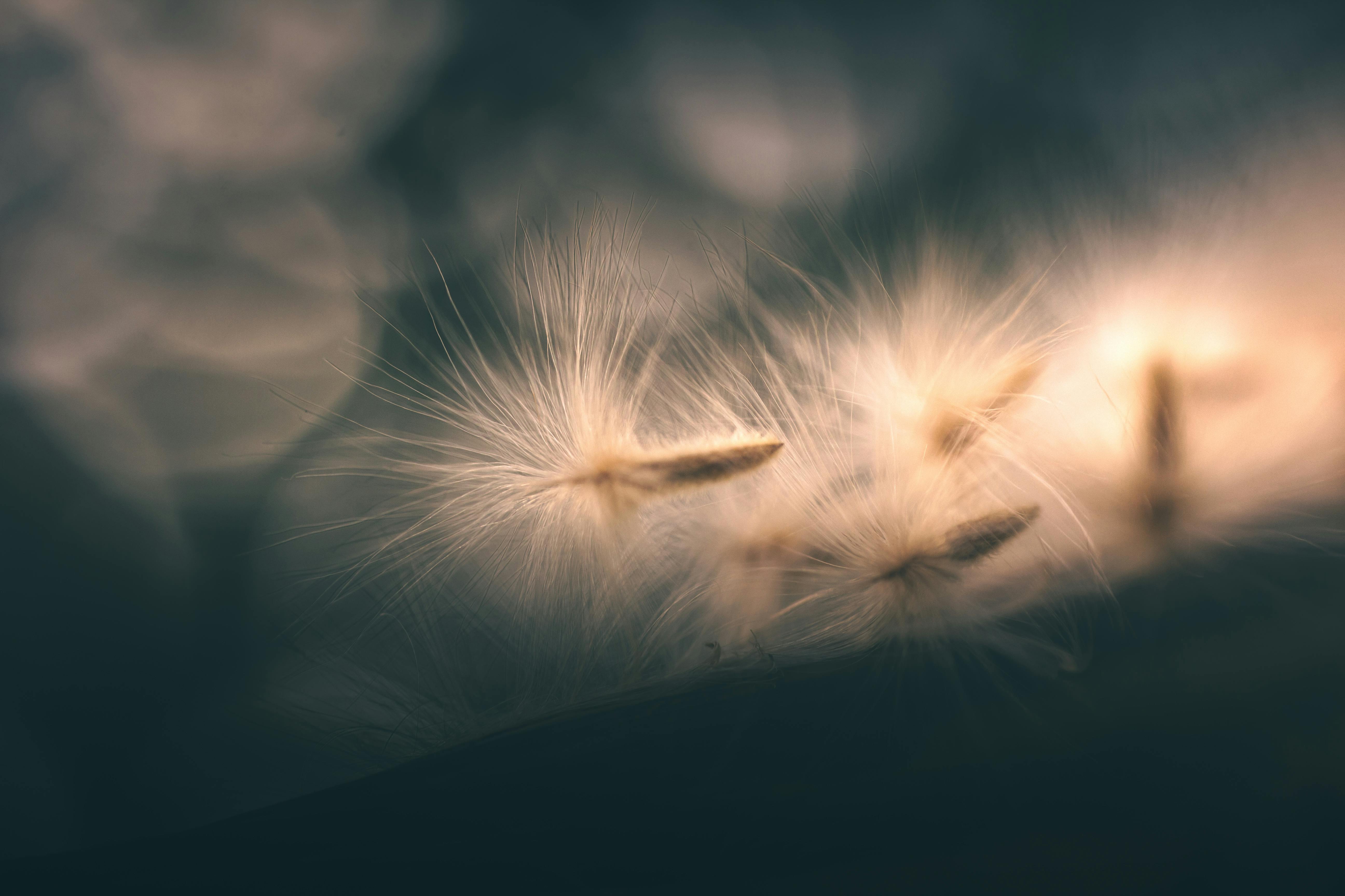 Rebalance leads pre seed round in travel gear brand NORI — Photo by Andri File on Pexels