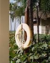 Tropical Oceanfront Lifebuoy on Wooden Post