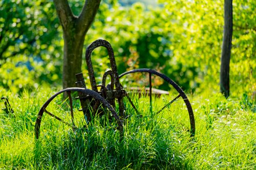 Free A vintage iron plow stands amid vibrant greenery in a sunlit meadow, symbolizing rural heritage. Stock Photo