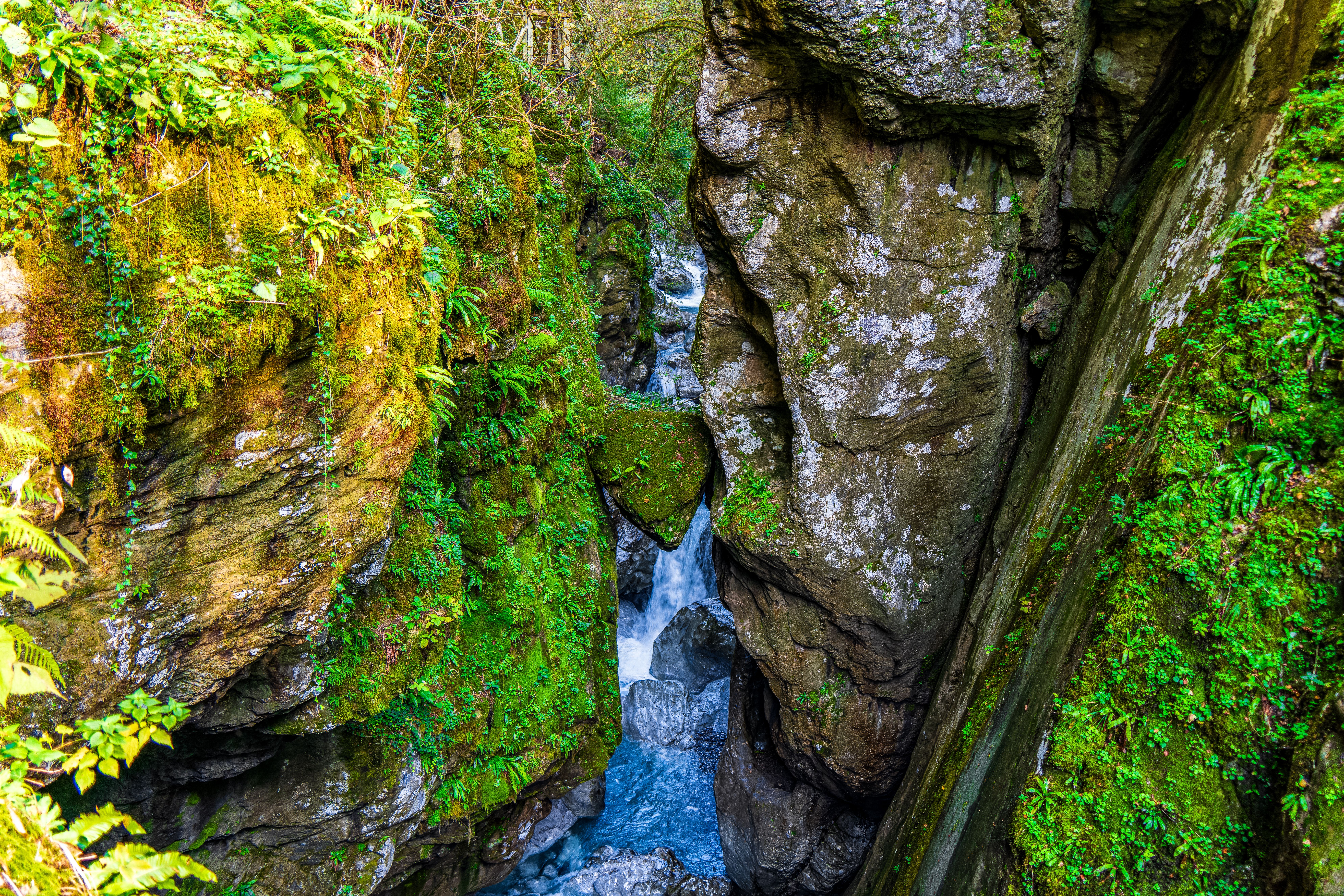 Valle delle Ferriere Nature Reserve Walk